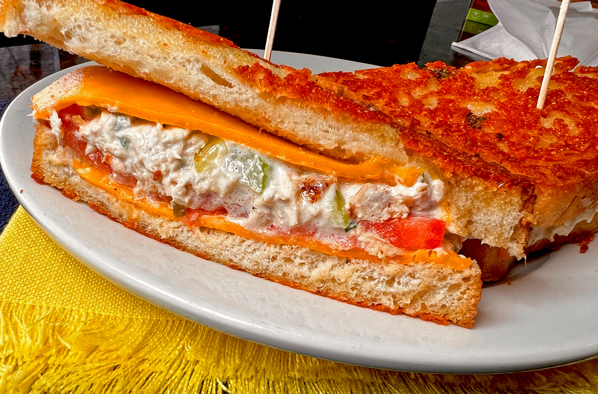 Tuna-Melt-Grilled-SandwitchWithPotatoes-Closeup